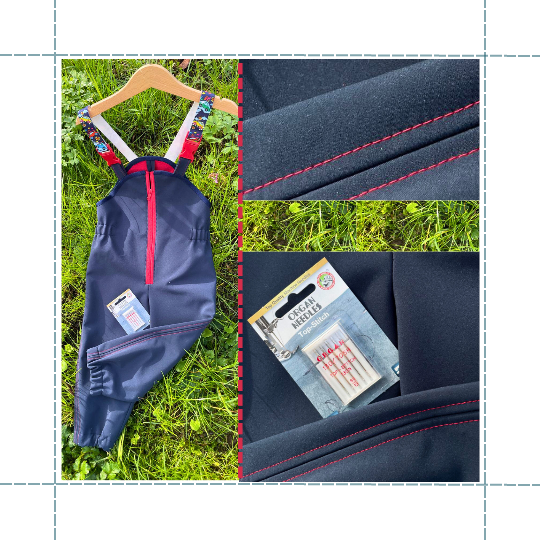 Softshell Post I,B_10-04-2024.png